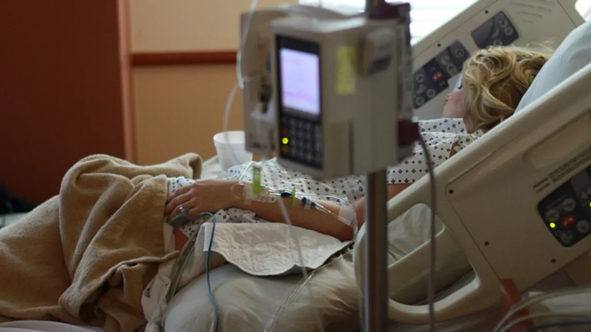MINUNE. O femeie bolnavă în fază terminală de cancer a vrut să-şi mai vadă o dată pisica. Este şocant ce s-a întâmplat a doua zi
