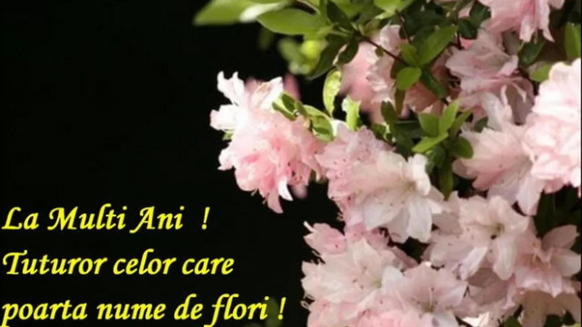 MESAJE DE FLORII. Cele mai simple şi frumoase urări pentru cei cu nume de flori