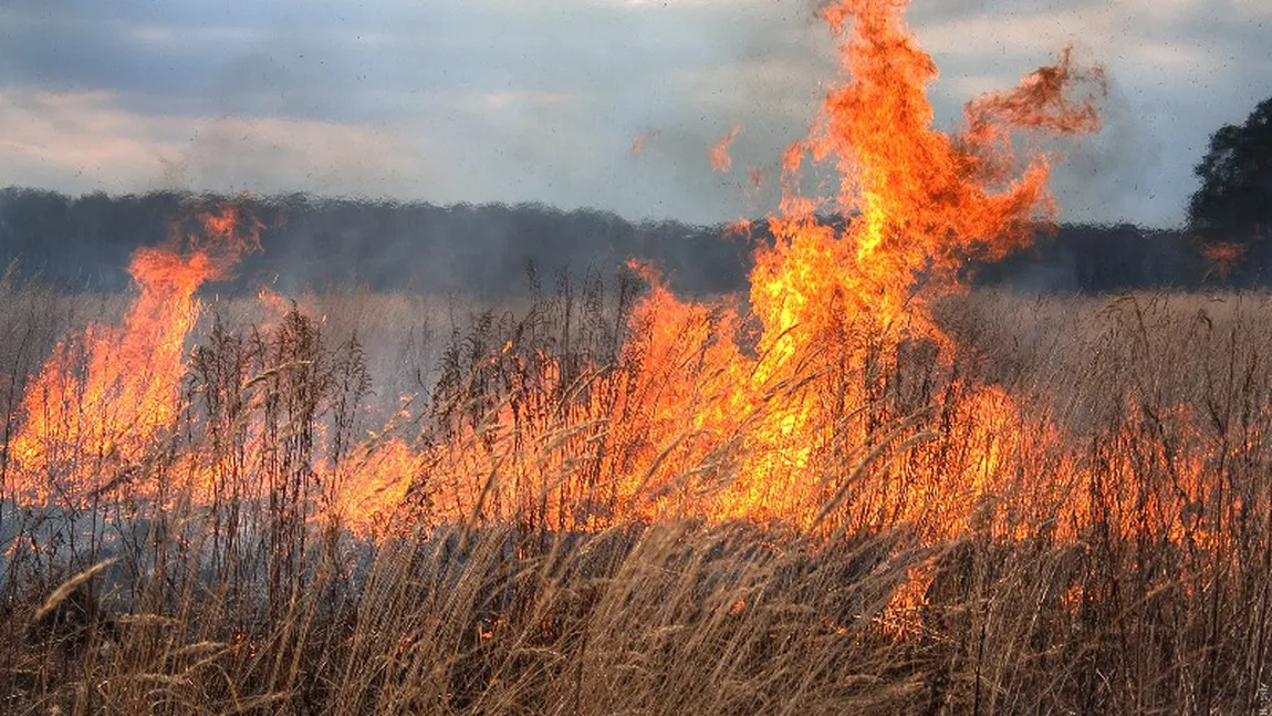 Pompierii intervin de o zi pentru stingerea incendiului de vegetaţie din Munţii Apuseni. Suprafaţa s-a extins la 15 ha