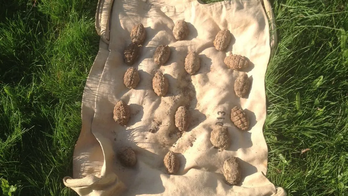 Peste 20 de grenade găsite în ultimele 24 de ore pe câmp în Prahova