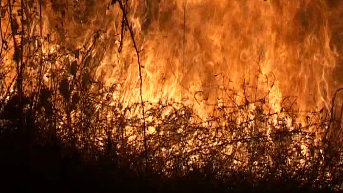 Incendii la marginea unor păduri din Munţii Apuseni şi Şureanu. Zeci de pompieri şi voluntari intervin