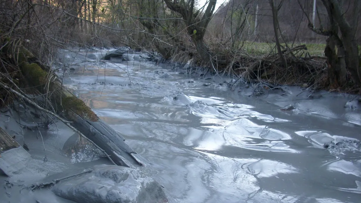 POLUARE în Munţii Apuseni. Sterilul toxic decantat în Valea Şesii a ajuns în râul Arieş