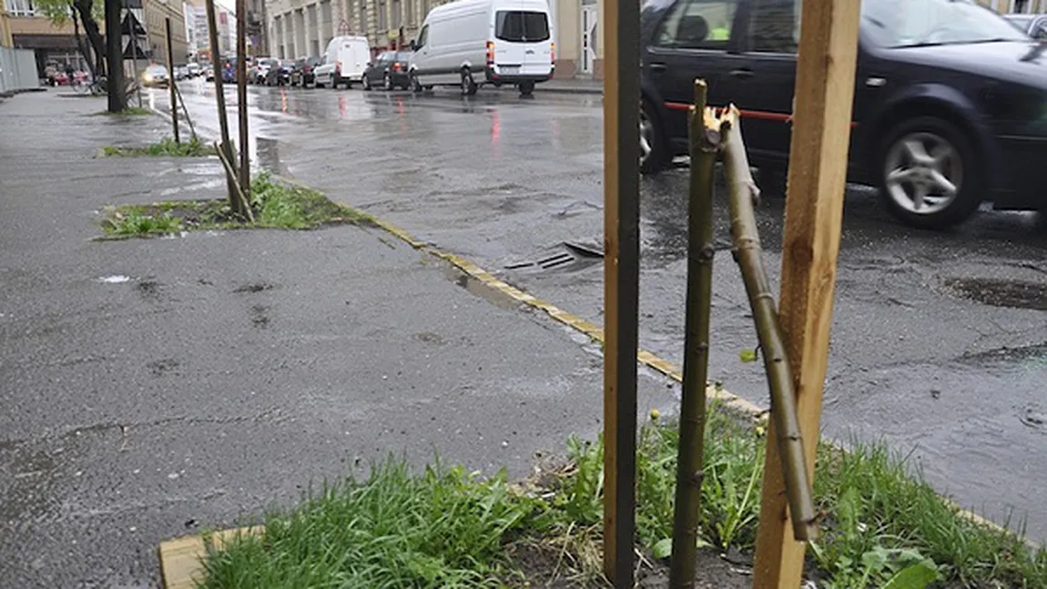 Un angajat de la salubritate a vandalizat centrul oraşului Satu Mare. Incredibil ce a putut să facă omul VIDEO