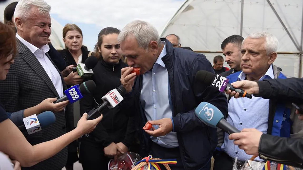 Liviu Dragnea şi Petre Daea au mâncat roşii de solar în Oltenia