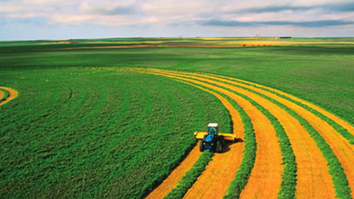 Condiţii noi pentru subvenţionarea asociaţiilor agricole care utilizează pajişti şi păşuni