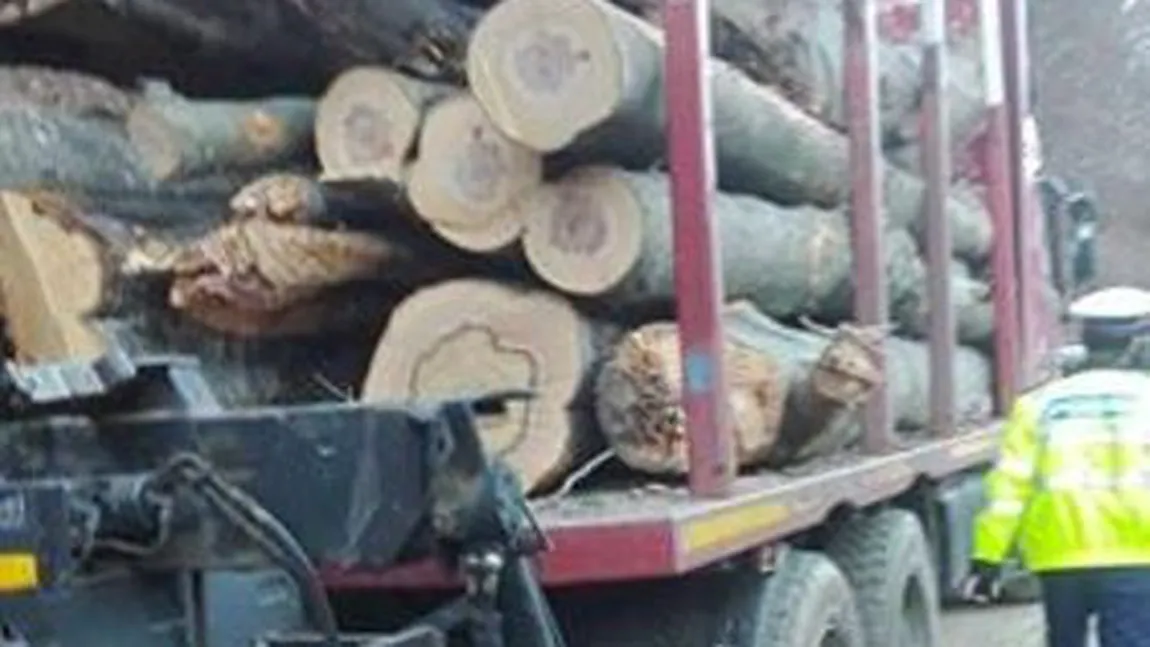 Un camion, depistat cu arbori nemarcaţi transportaţi pentru Holzindustrie Schweighofer. Prima reacţie a companiei