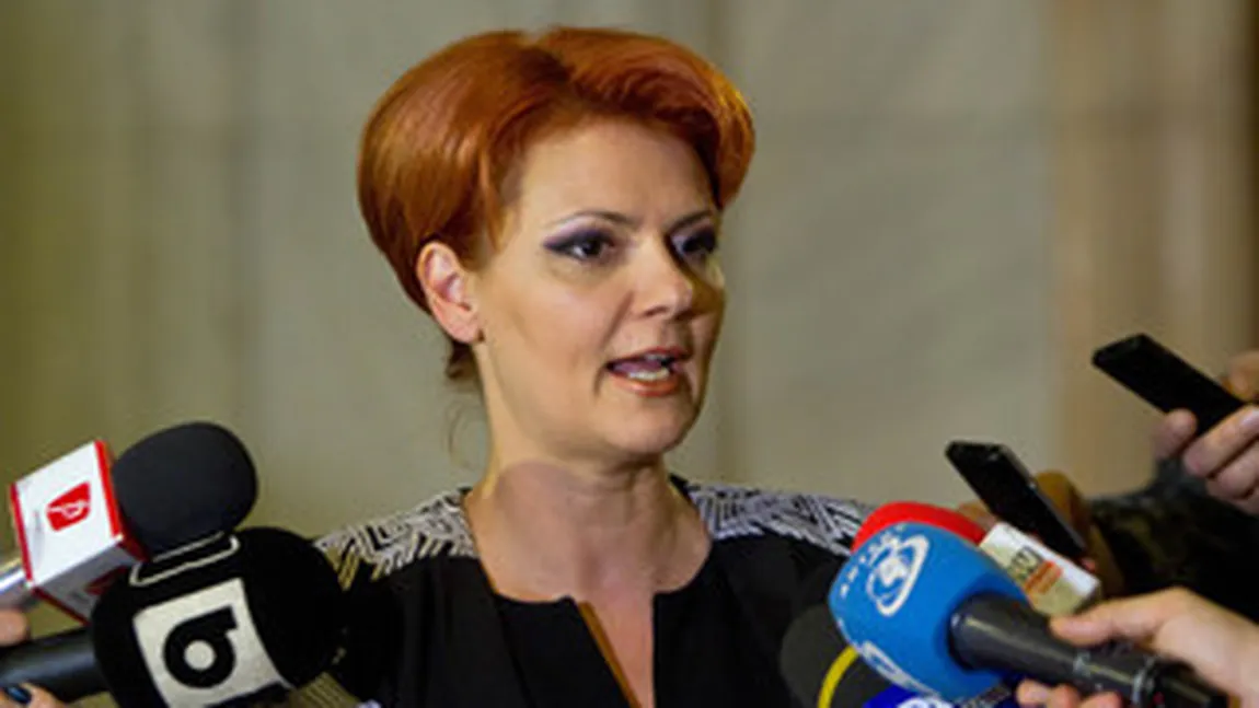 Olguţa Vasilescu, în Guvern: S-au depus observaţii şi de la Ministerul Muncii pentru proiectul Legii salarizării unitare