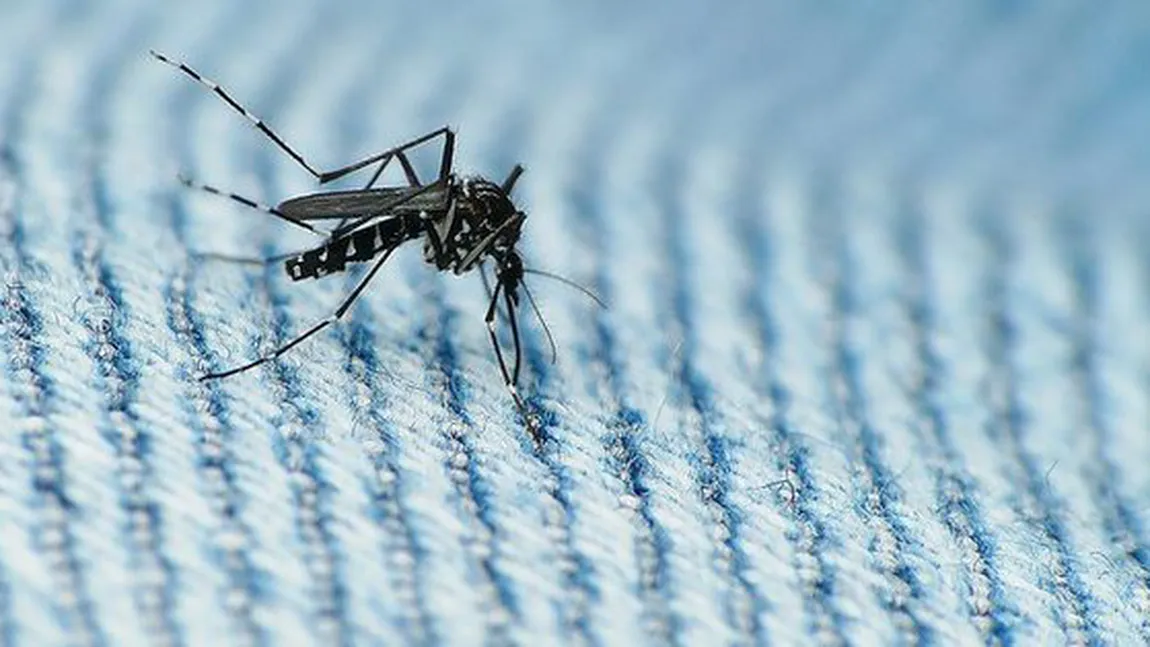 Cercetătorii chinezi au dezvoltat un posibil inhibitor al virusului Zika