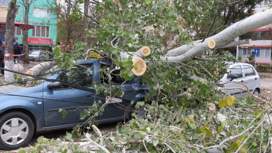 O furtună puternică a măturat CAPITALA! Două persoane au fost rănite de copaci doborâţi de vânt