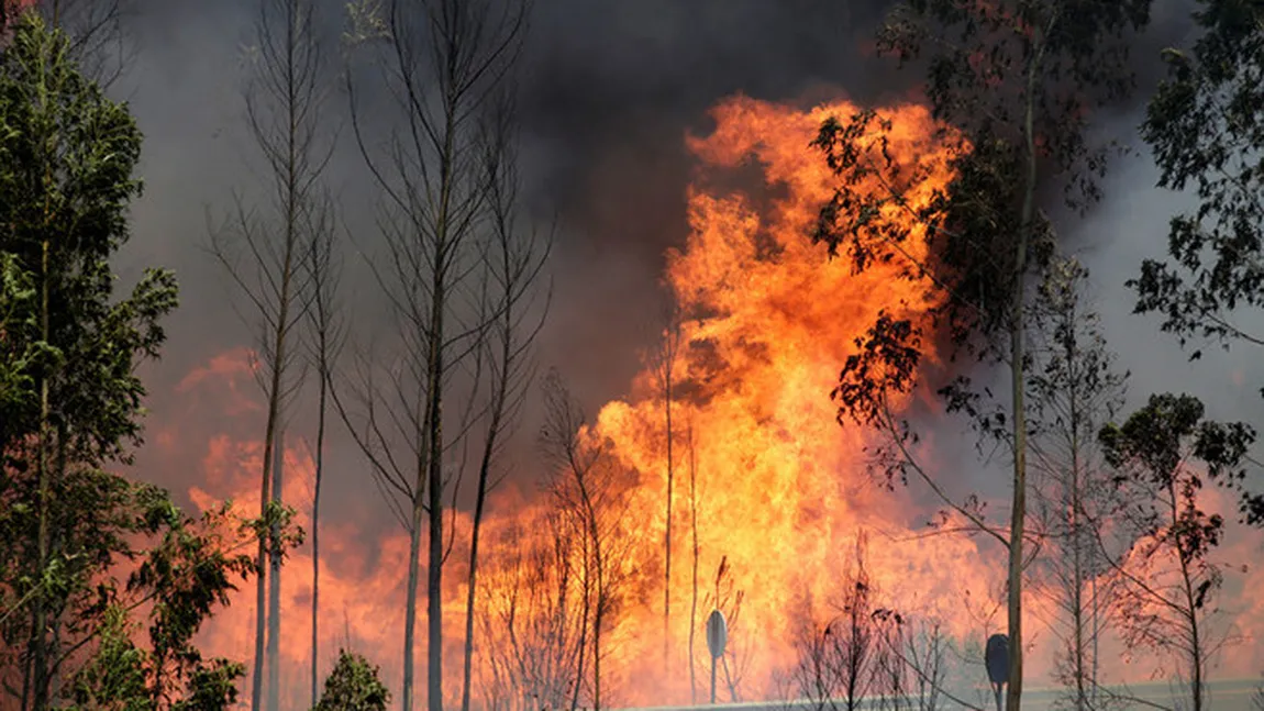 Portugalia, în doliu după devastatoarele incendii de vegetaţie. Sinistrul a curmat viaţa a 62 de persoane VIDEO