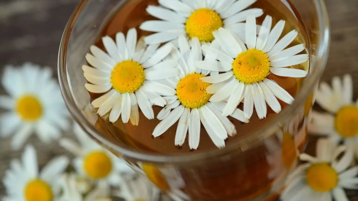 Remedii naturale pentru vaginita bacteriană