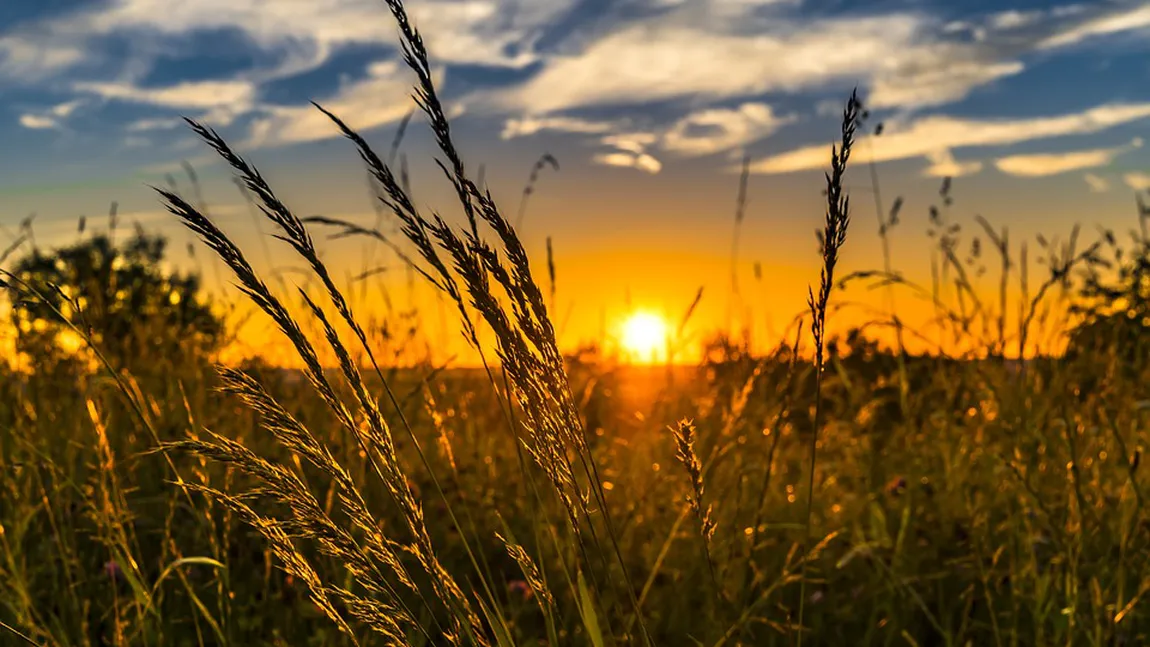 PROGNOZA METEO pe trei zile. Vremea va fi predominant frumoasă şi va continua să se încălzească