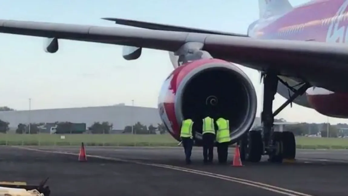 Un avion a fost nevoit să aterizeze de urgenţă în Australia, după o coliziune cu mai multe păsări