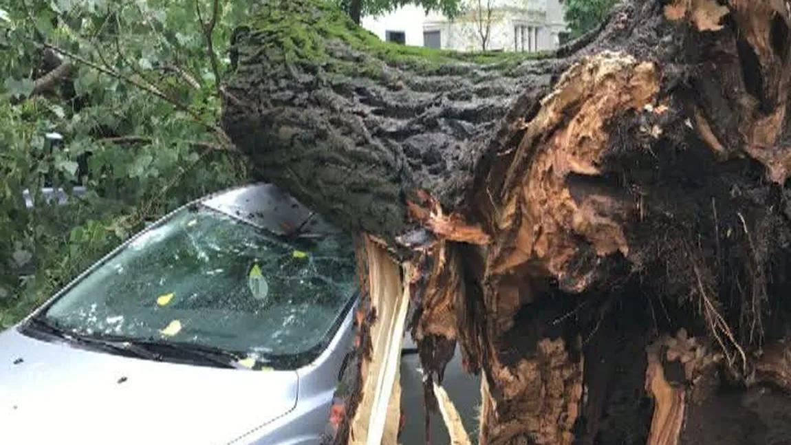 Prăpăd în Brăila din cauza unei vijelii. Patru persoane au fost rănite, o femeie este în comă