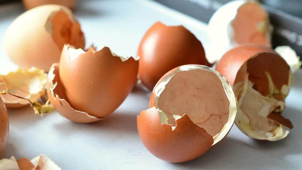 Tratamente naturiste. Cojile de ouă, sursă naturală de calciu. 4 beneficii ale acestora