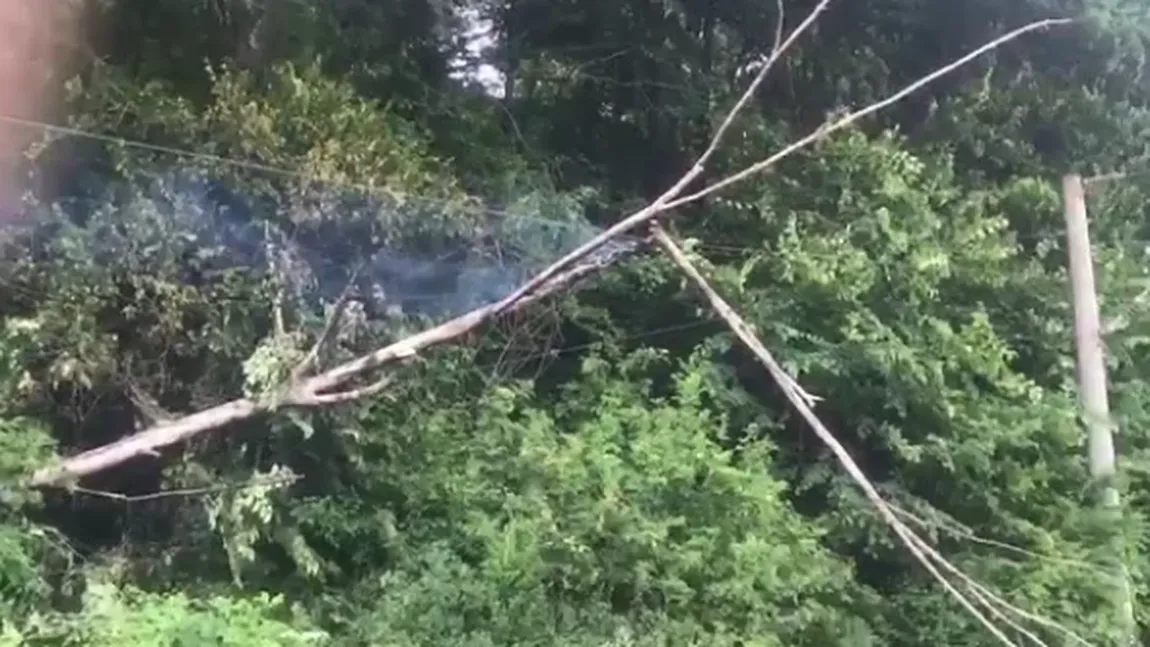 Din cauza vijeliei, un copac a căzut pe firele electrice pe ruta Braşov-Predeal şi a stopat alimentarea cu energie electrică