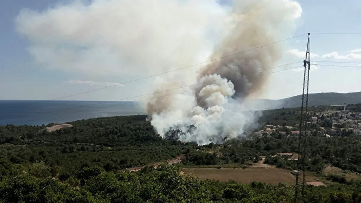 Incendiile de pădure din Muntenegru s-au înteţit. Autorităţile sunt depăşite de situaţie şi cer ajutor Uniunii Europene