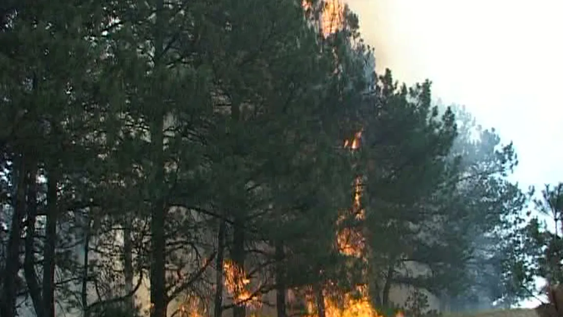 Incendiu de vegetaţie în Canada, 46.000 de persoane au fost evacuate. 220 de elicoptere şi avioane luptă să stingă focurile