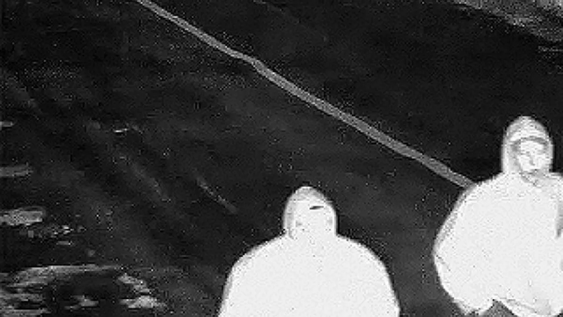Spargere la o casă de pariuri din Oradea. Hoţii au forţat seifurile