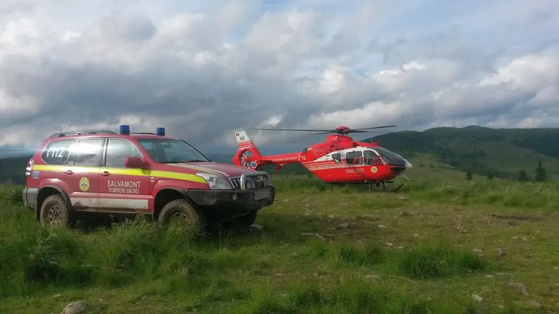 Un turist a fost muşcat de o viperă pe Transfăgărăşan. Acesta a fost preluat de elicopterul SMURD şi dus la un spital din Bucureşti