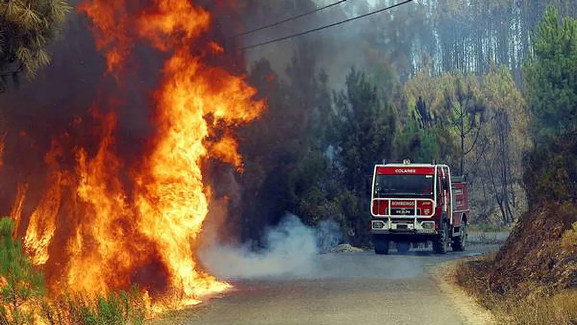Un român este acuzat că ar fi provocat incendii de vegetaţie în Italia. Bărbatul a fost arestat