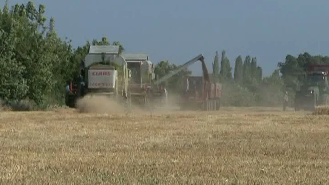 Anunţ incredibil făcut de un agricultor: Noi căutam un inginer agronom, îi dăm 5.000 de euro pe lună. Îi cerem să nu fure şi să nu bea