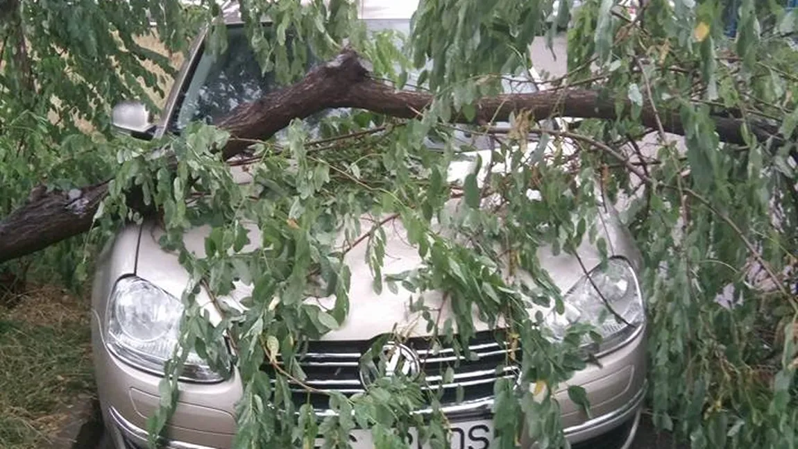 Vijeliile fac prăpăd în judeţul Hunedoara. Două acoperişuri de bloc au fost luate pe sus, iar mai mulţi copaci au fost doborâţi