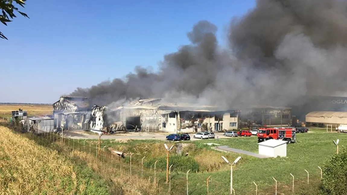 Incendiu puternic la o fabrică din judeţul Timiş