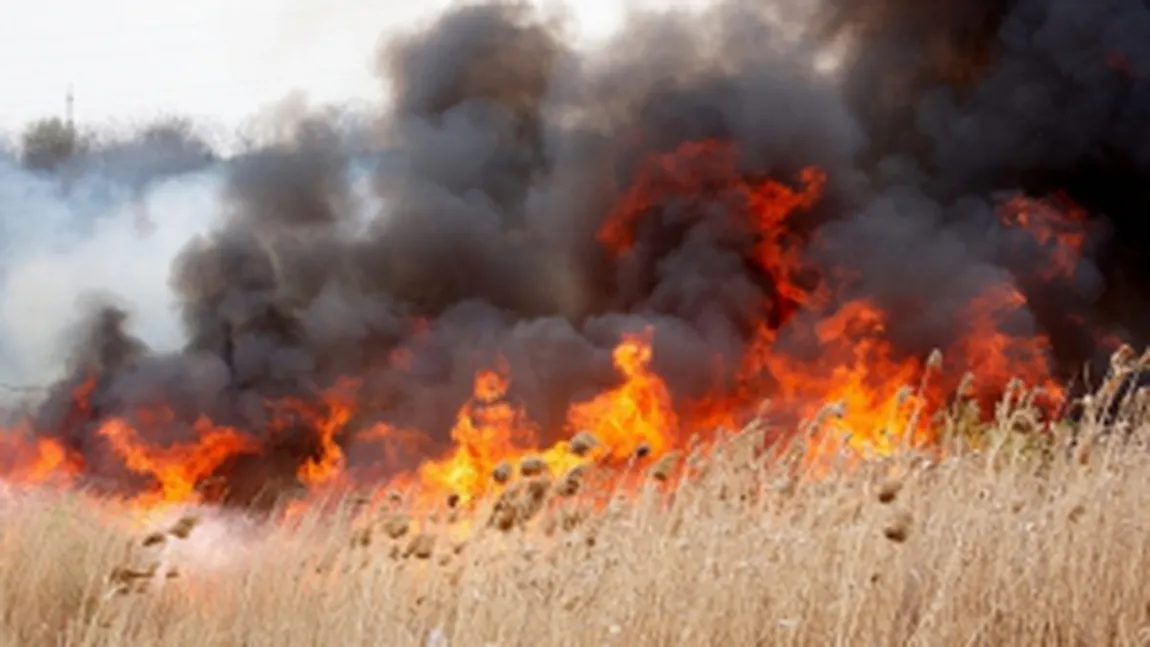 Incendiu de vegetaţie de amploare în sud-vestul Rusiei, în apropierea Mării Negre