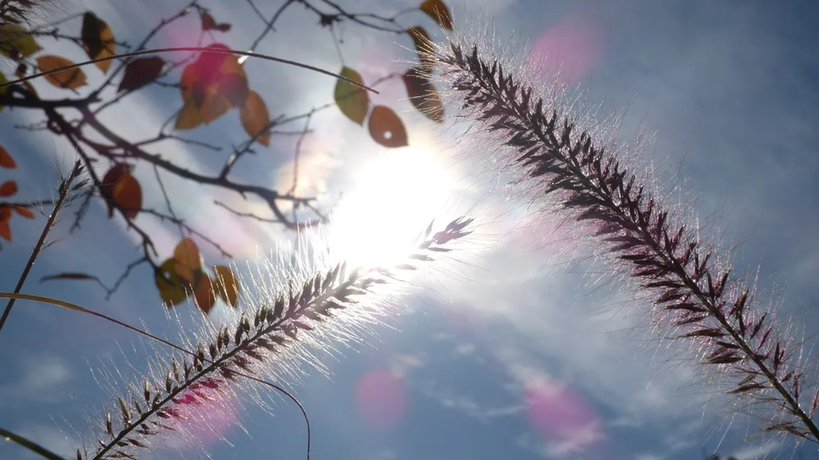 PROGNOZA METEO pe trei zile. Toamna începe să îşi facă simţită prezenţa