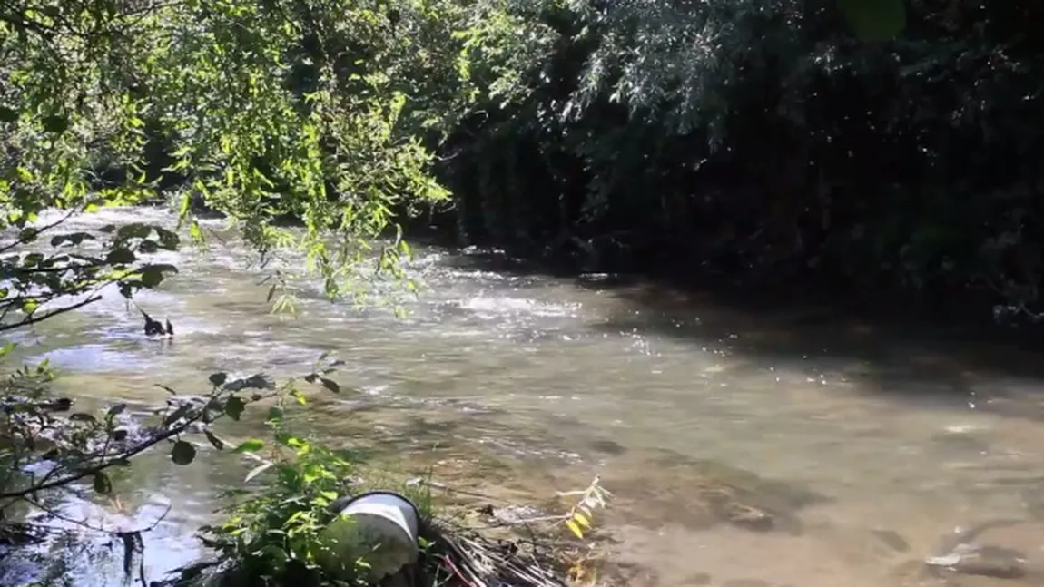 Râul Cerna, groapa de gunoi a hunedorenilor