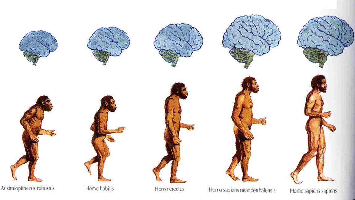 Noi descoperiri arheologice datează originile Homo Sapiens cu 350.000 de ani în urmă