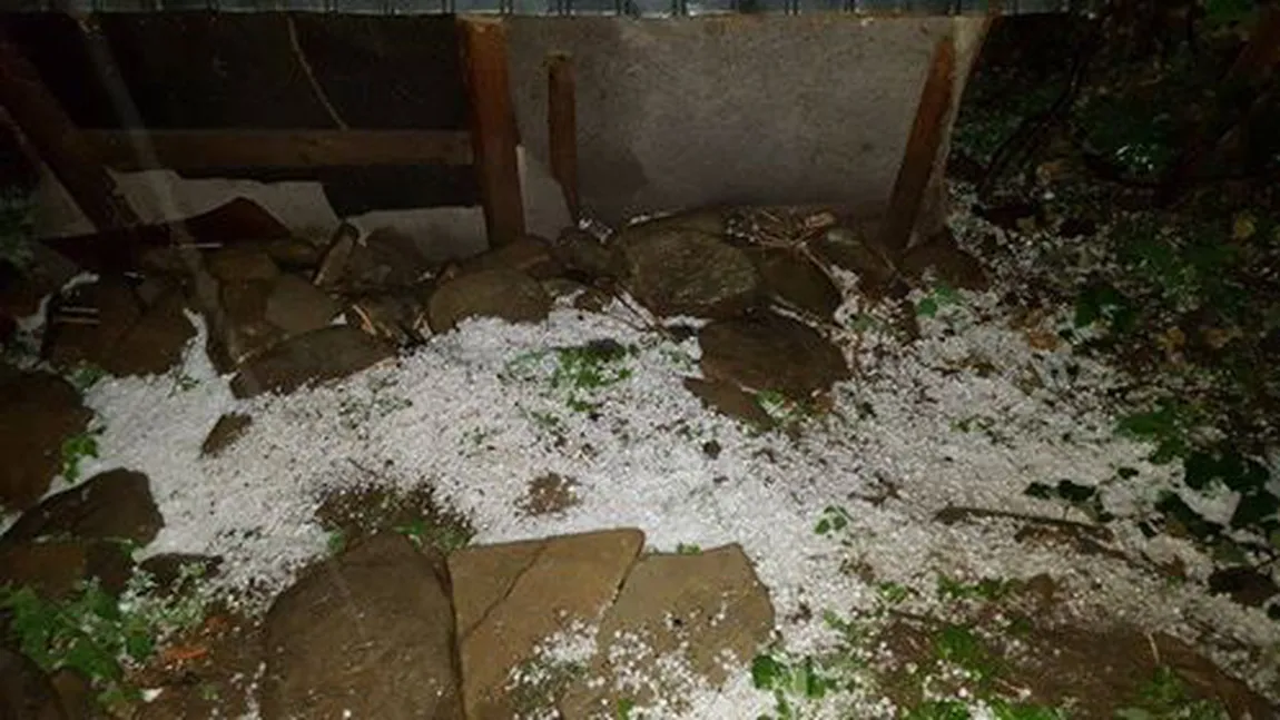 Furtună violentă în Prahova. A căzut grindină cât pumnul FOTO