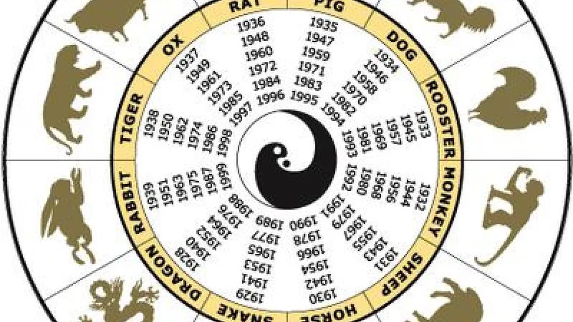 Anul Câinelui de Pământ în 2018. Află ce-ţi rezervă zodiacul chinezesc