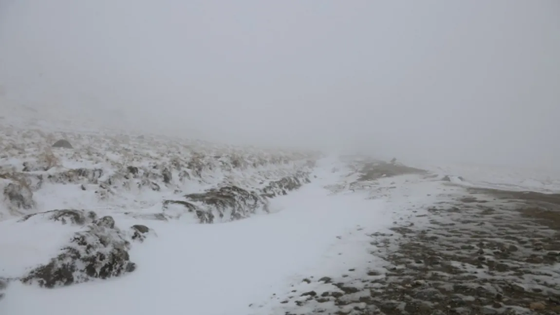 Prima ninsoare la munte. Stratul de zăpadă măsoară câţiva centimetri pe platoul Bucegilor VIDEO