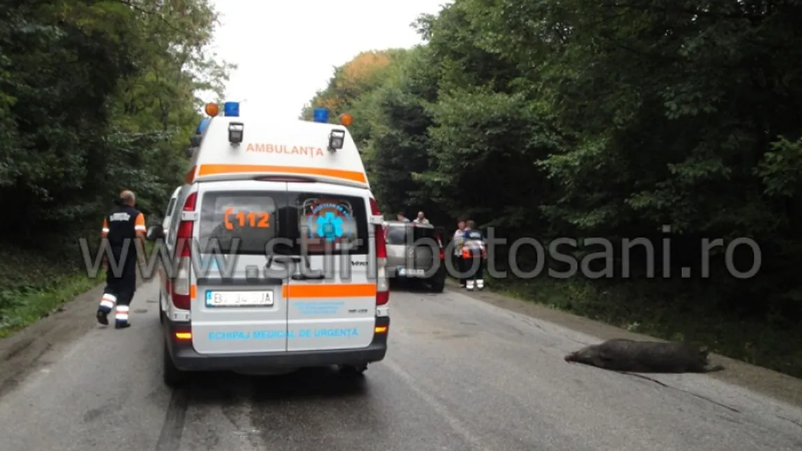 Ambulantier, amendat pentru viteză după ce a lovit un porc mistret. 