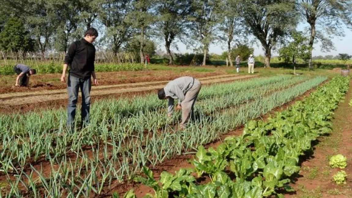 Firea: Liceul Agricol va beneficia de un teren pentru construirea unei ferme unde elevii vor putea face practică