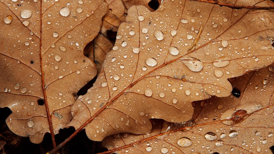 PROGNOZA METEO. Cum va fi VREMEA în URMĂTOARELE ZILE