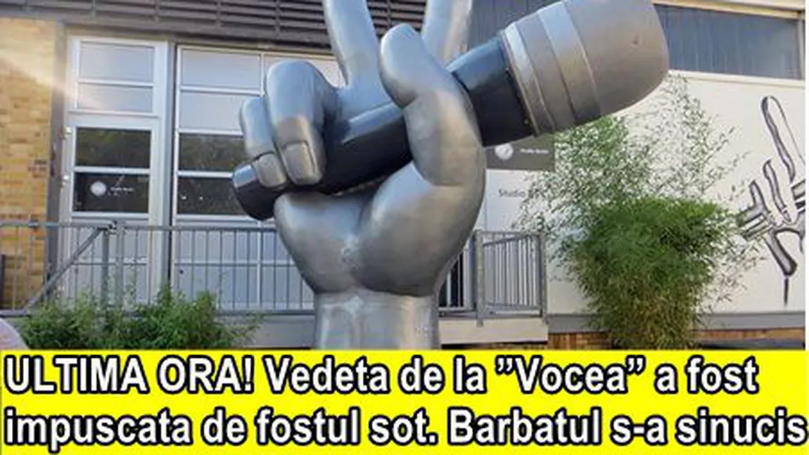 Vedeta de la 