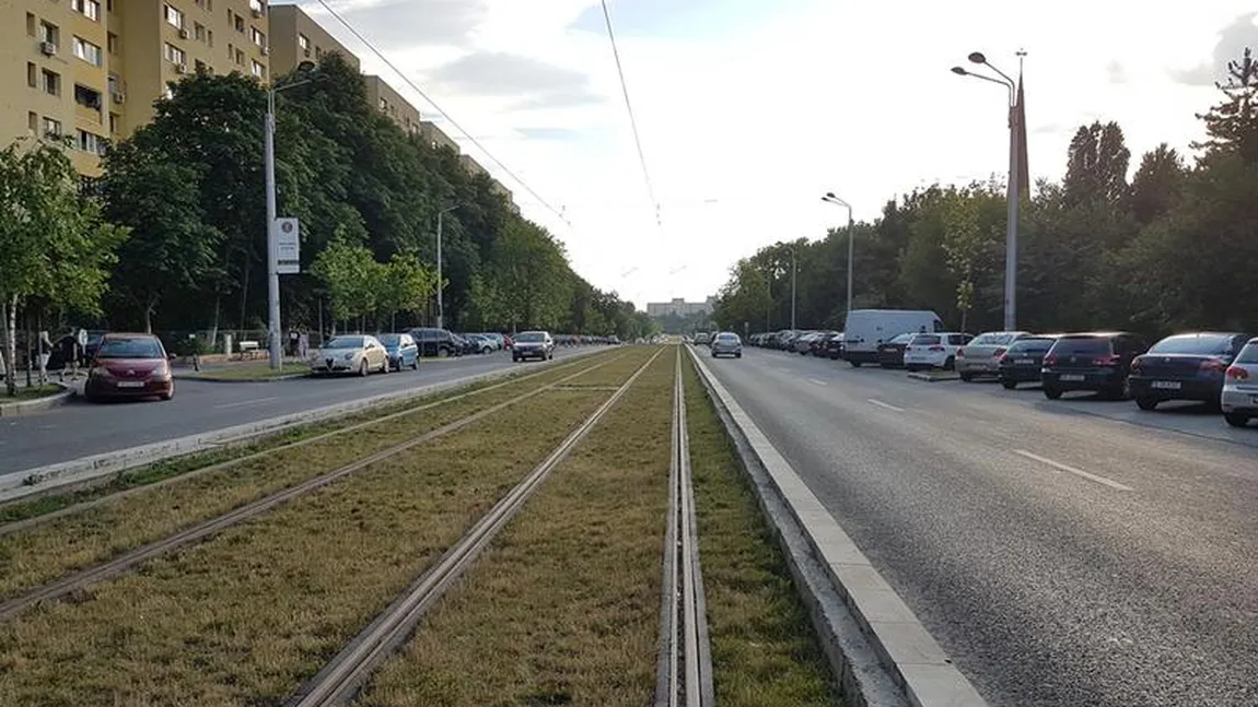 Primaria Sectorului 5 vrea să înverzească liniile de tramvai din Rahova