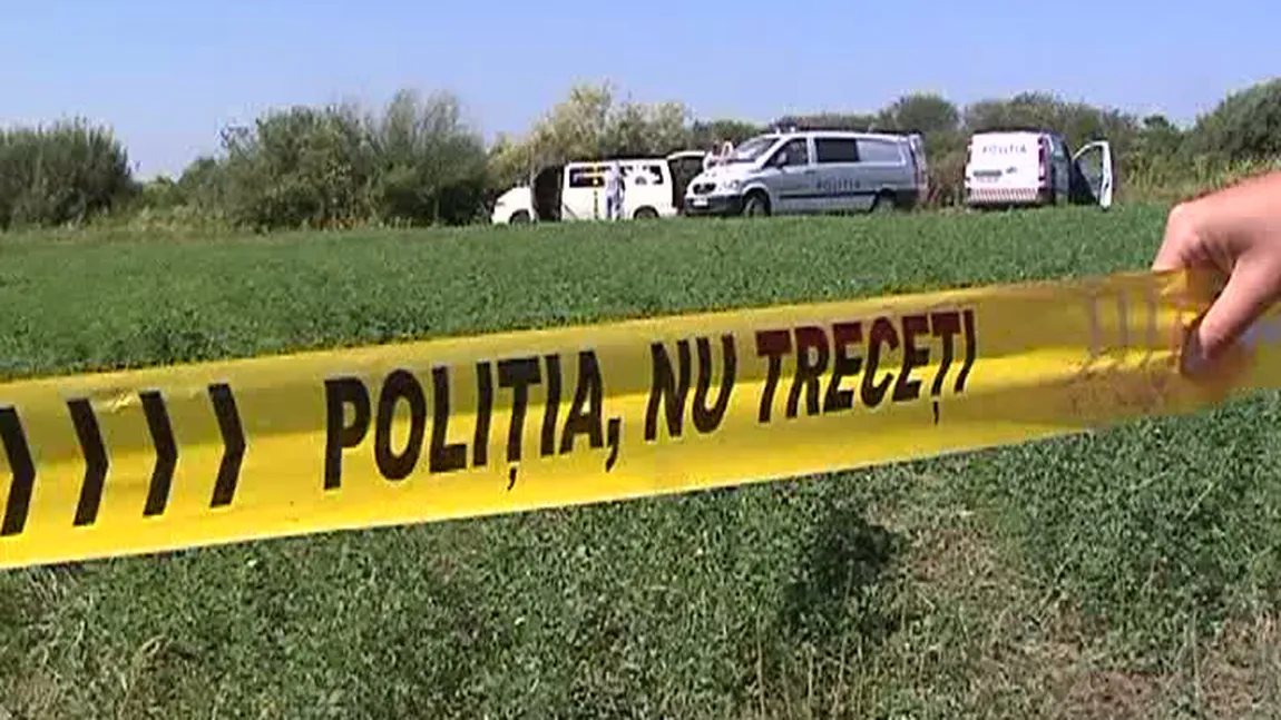 Bărbat strivit de un copac la locul de muncă