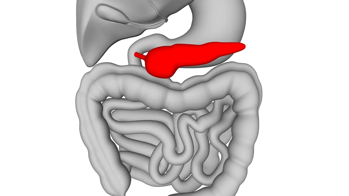 Semnele unui pancreas inflamat