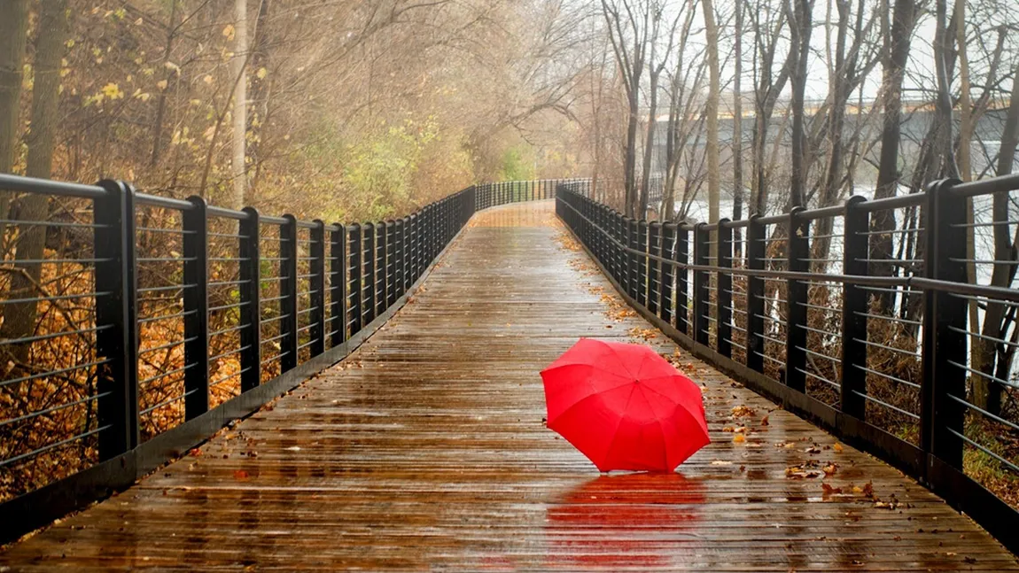 PROGNOZA METEO pentru următoarele zile: Află când revine vremea de toamnă caldă