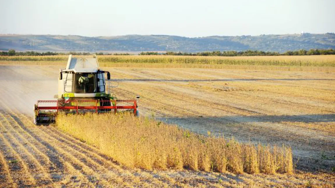 Ministerul Agriculturii vrea să le dea agricultorilor ajutoare naţionale tranzitorii în sectorul vegetal de 527,2 milioane lei