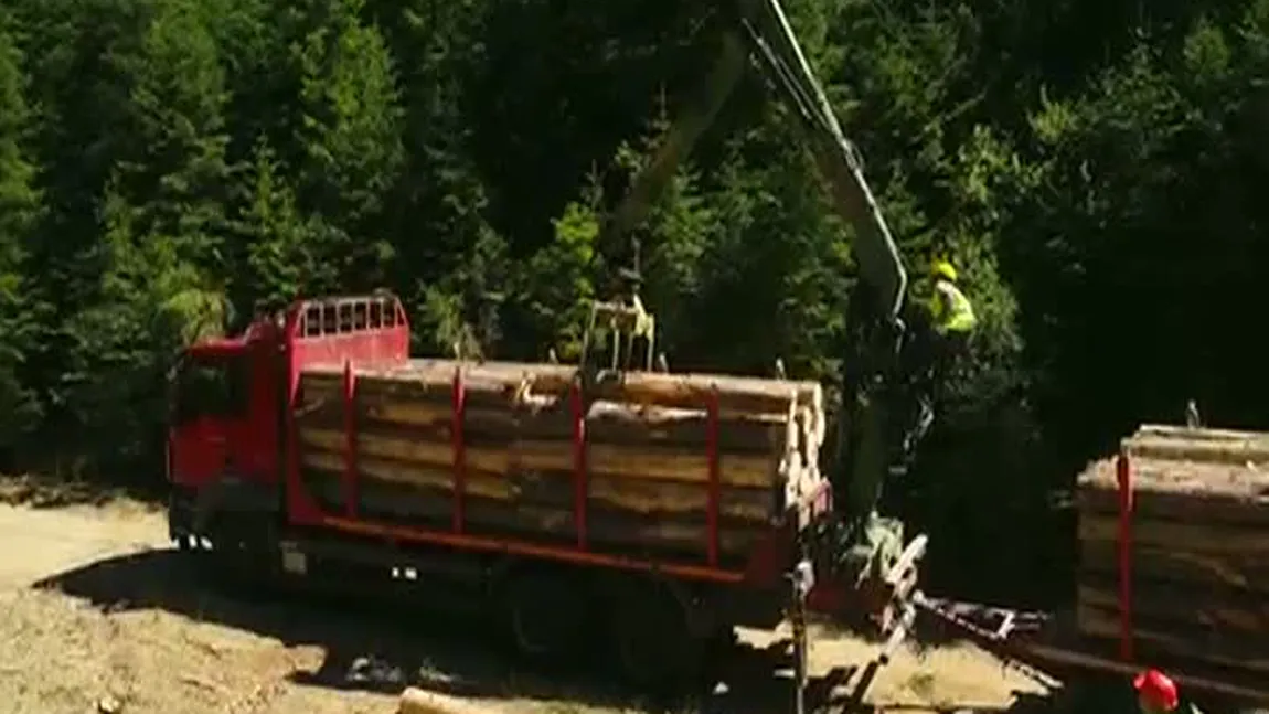 România, model în Europa în privinţa monitorizării transporturilor de lemn