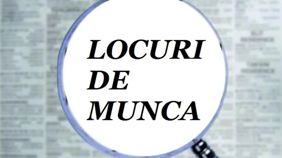 Locurile de muncă vacante în Bucureşti: Sunt disponibile 4.600 de joburi