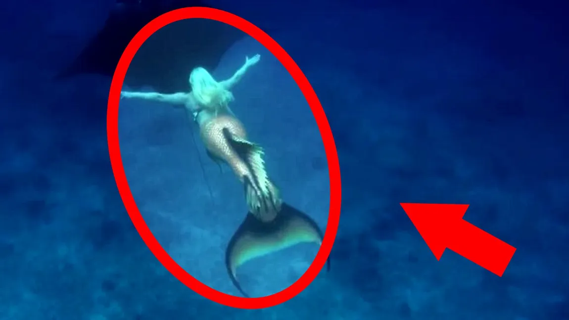 Misterul oamenilor amfibie. Există cu adevărat sirenele? Secrete nebănuite, dezvăluite de marinari din întreaga lume