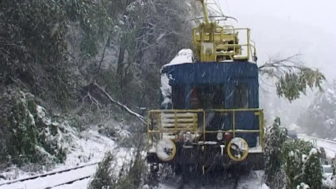 Traficul feroviar întrerupt după ce un arbore a căzut pe calea ferată a fost reluat UPDATE
