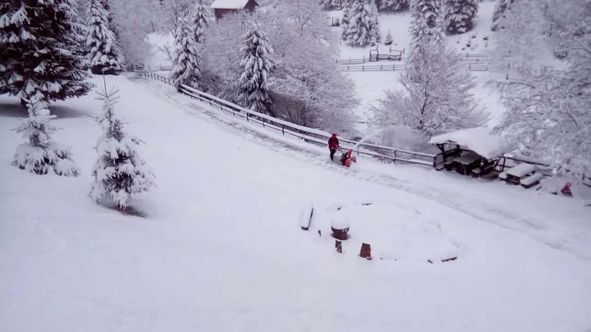 Ninge ca-n poveşti în România. Stratul de zăpadă depăşeşte 30 de cm în Poiana Braşov şi 112 cm la Bâlea LIVE VIDEO