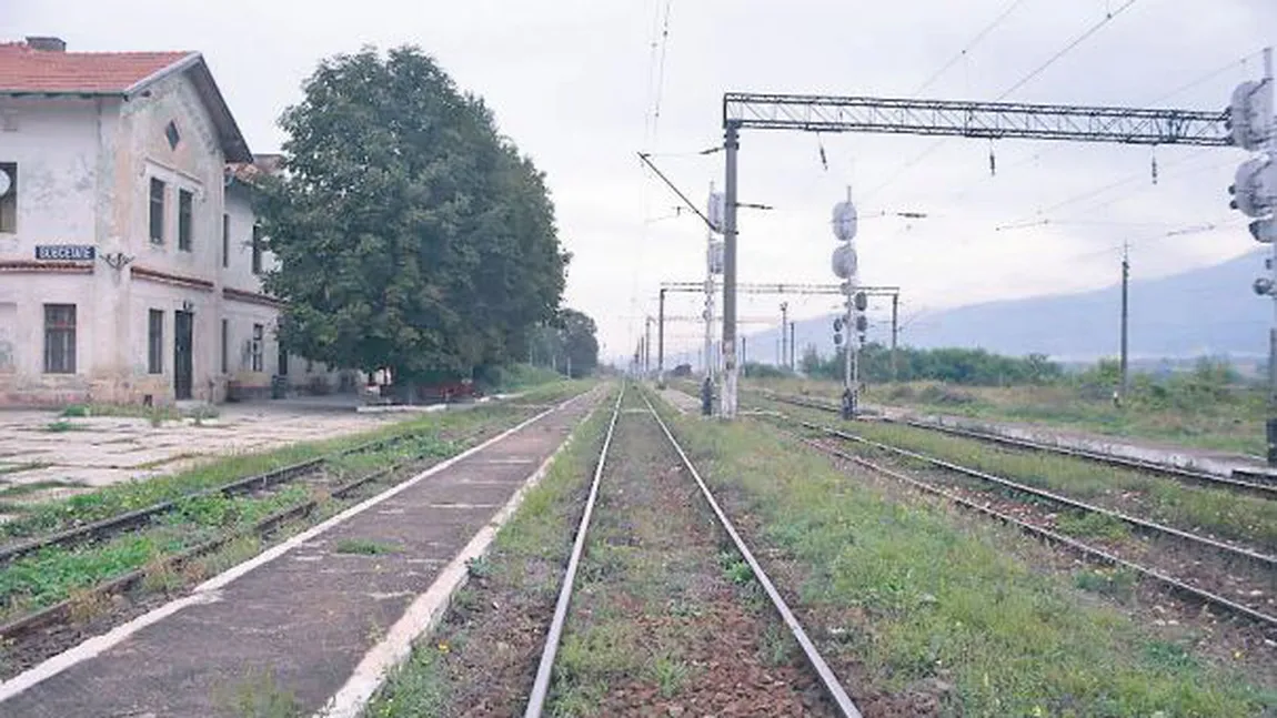 CFR, dată în judecată după ce o persoană a fost lovită de tren în gară şi a rămas fără o mână